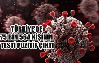 Türkiye'de 75 bin 564 kişinin testi pozitif...