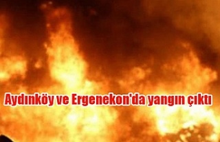 Aydınköy ve Ergenekon'da yangın çıktı
