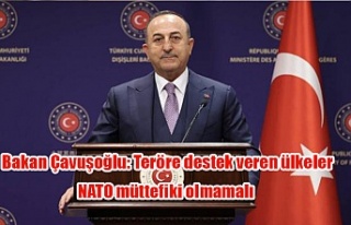 Bakan Çavuşoğlu: Teröre destek veren ülkeler...