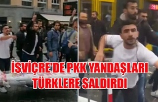 İsviçre'de PKK yandaşları Türklere saldırdı