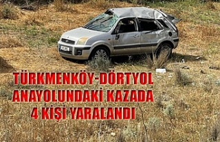 Türkmenköy-Dörtyol anayolundaki kazada 4 kişi...