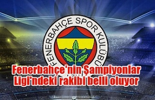 Fenerbahçe'nin Şampiyonlar Ligi'ndeki...