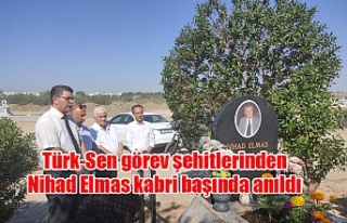 Türk-Sen görev şehitlerinden Nihad Elmas kabri...