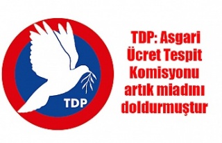 TDP: Asgari Ücret Tespit Komisyonu artık miadını...