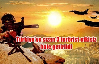 Türkiye'ye sızan 3 terörist etkisiz hale getirildi