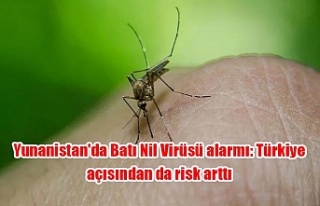 Yunanistan'da Batı Nil Virüsü alarmı: Türkiye...