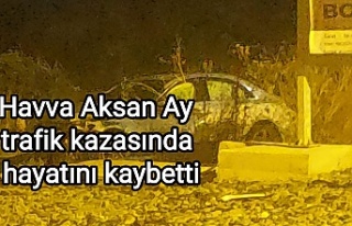 Havva Aksan Ay trafik kazasında hayatını kaybetti