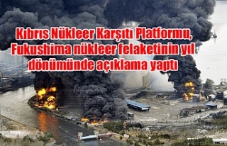 Kıbrıs Nükleer Karşıtı Platformu, Fukushima...