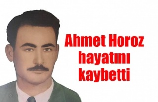 Ahmet Horoz hayatını kaybetti
