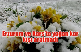 Erzurum ve Kars'ta yağan kar kışı aratmadı