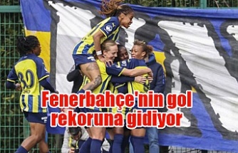 Fenerbahçe'nin gol rekoruna gidiyor