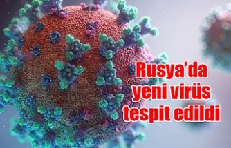 Rusya’da yeni virüs tespit edildi