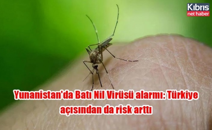 Yunanistan'da Batı Nil Virüsü alarmı: Türkiye açısından da risk arttı