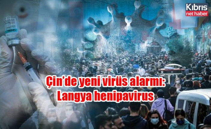 Çin’de yeni virüs alarmı: Langya henipavirus