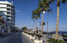 Larnaka sahilindeki palmiye ağaçları vandallık kurbanı