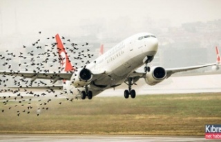 Kuşlara çarpan uçak İstanbul'a döndü