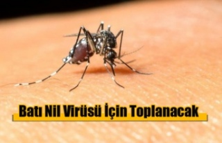 Batı Nil Virüsü İçin Toplanacak
