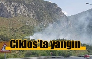 Ciklos’ta yangın
