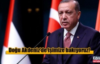 Erdoğan: Doğu Akdeniz'de işimize bakıyoruz!