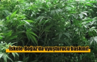 İskele-Boğaz’da uyuşturucu baskını!