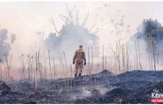 Amazonlar için iki ay anız yakılmasına yasak