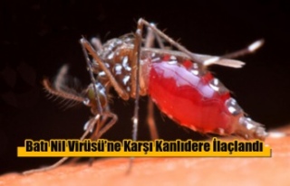 Batı Nil Virüsü’ne Karşı Kanlıdere İlaçlandı