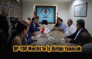 DP-YDP Meclis'te İş Birliği Yapacak