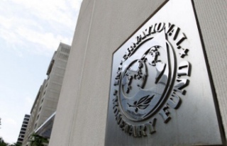 IMF bu yıl ekonomik daralma beklemiyor