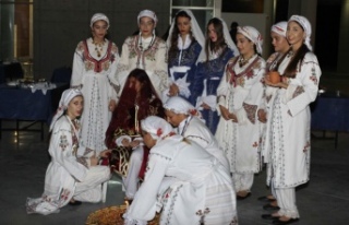 LAÜ’de Kıbrıs ve Uluslararası Kültür Gecesi...