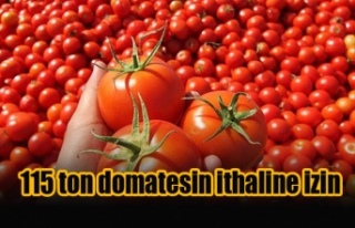 Tarım Dairesi'nden domates ithalatı açıklaması