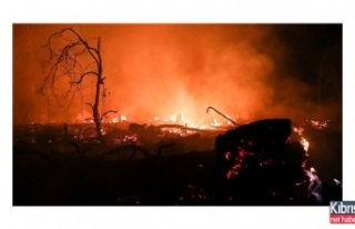 Yangın 2 milyon hektar alanı kül etti
