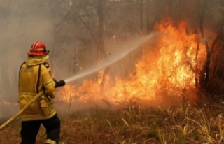 Avustralya'da orman yangınları devam ediyor