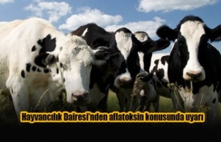 Hayvancılık Dairesi’nden aflatoksin konusunda...