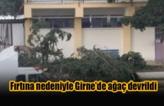 Fırtına nedeniyle Girne’de ağaç devrildi