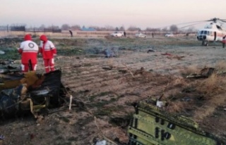 Ukrayna uçağı İran'da düştü