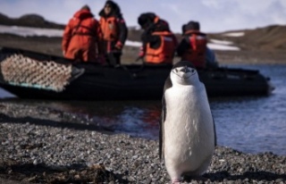 Antartika 20.75 dereceyle rekor kırdı