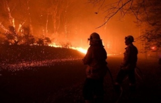 Yangınlar Avustralya’daki ormanların yüzde 21’ini...