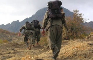 PKK'da koronavirüse yakalanan teröristler kaderlerine...