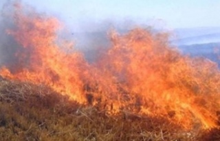 Alaköy’de 400 dönüm arazi yandı!