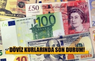 Dolar, euro, sterlin bugün kaç lira?