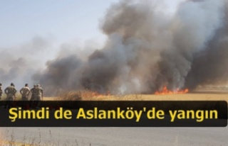 Şimdi de Aslanköy'de yangın