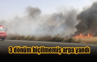 Türkeli köyü yakınlarında yangın