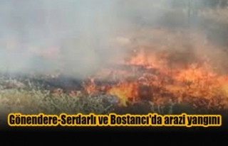 Gönendere-Serdarlı ve Bostancı'da arazi yangını