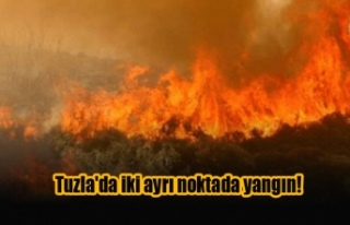 Tuzla'da iki ayrı noktada yangın!