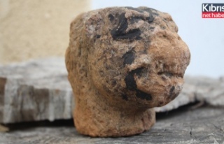 Karpaz’da aslan heykeli parçası bulundu