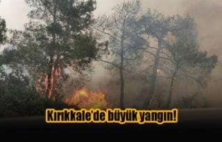 Kırıkkale’de büyük yangın!