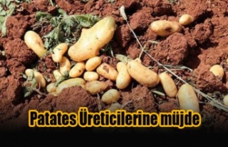 Patates Ürünü Zarar Gören Üreticilere 37 Bin...