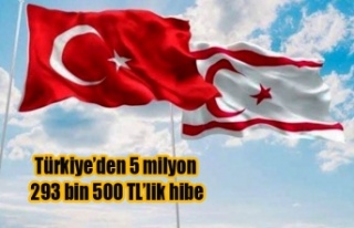Türkiye'den, Orman Dairesi’ne 5 milyon 293...