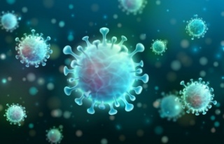 Korona virüs vaka sayısı 20 milyona yaklaştı