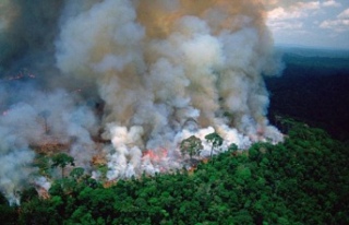 Brezilya'da yangınlar dünyanın en büyük...